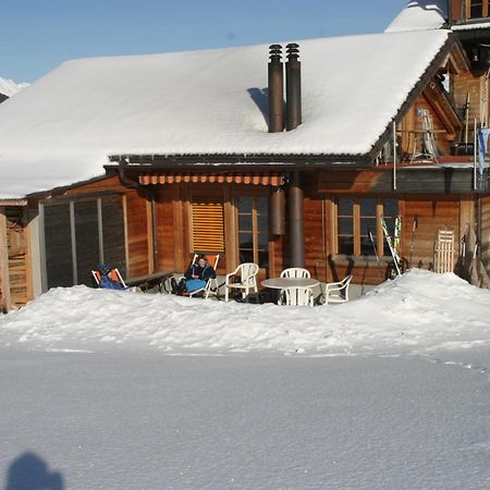 Bergdohle Leilighet Adelboden Eksteriør bilde