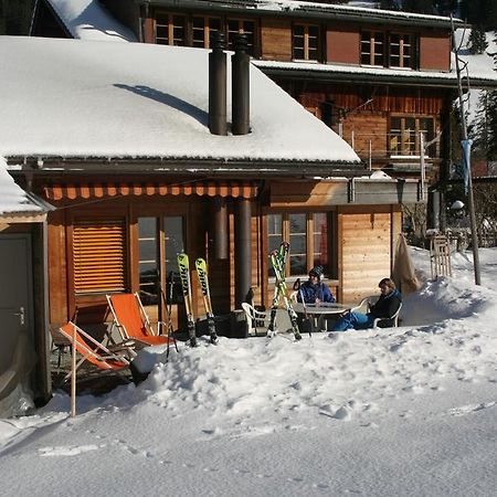 Bergdohle Leilighet Adelboden Eksteriør bilde