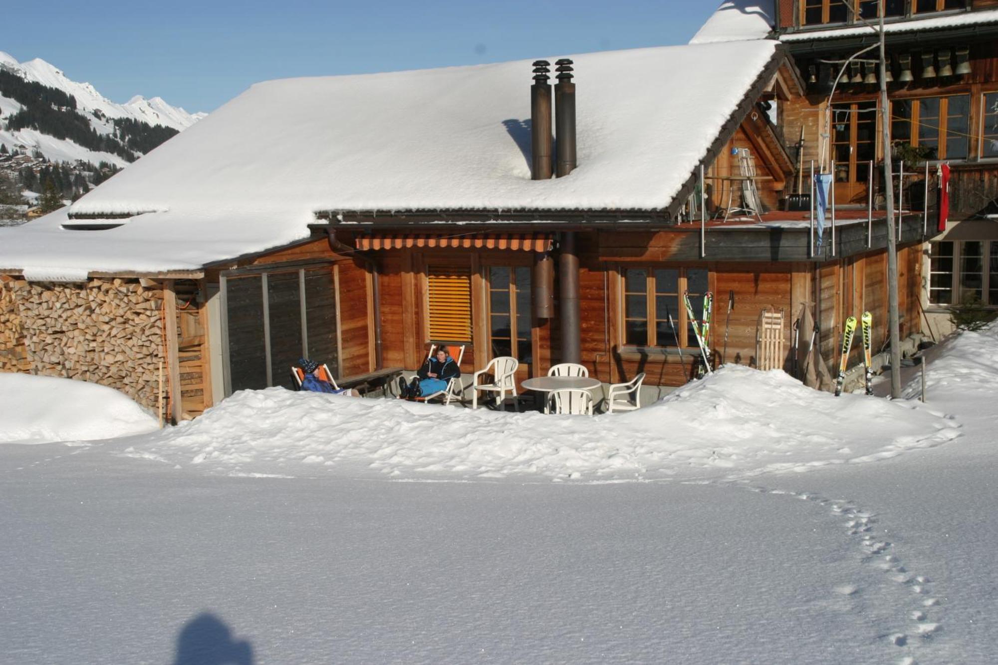 Bergdohle Leilighet Adelboden Eksteriør bilde