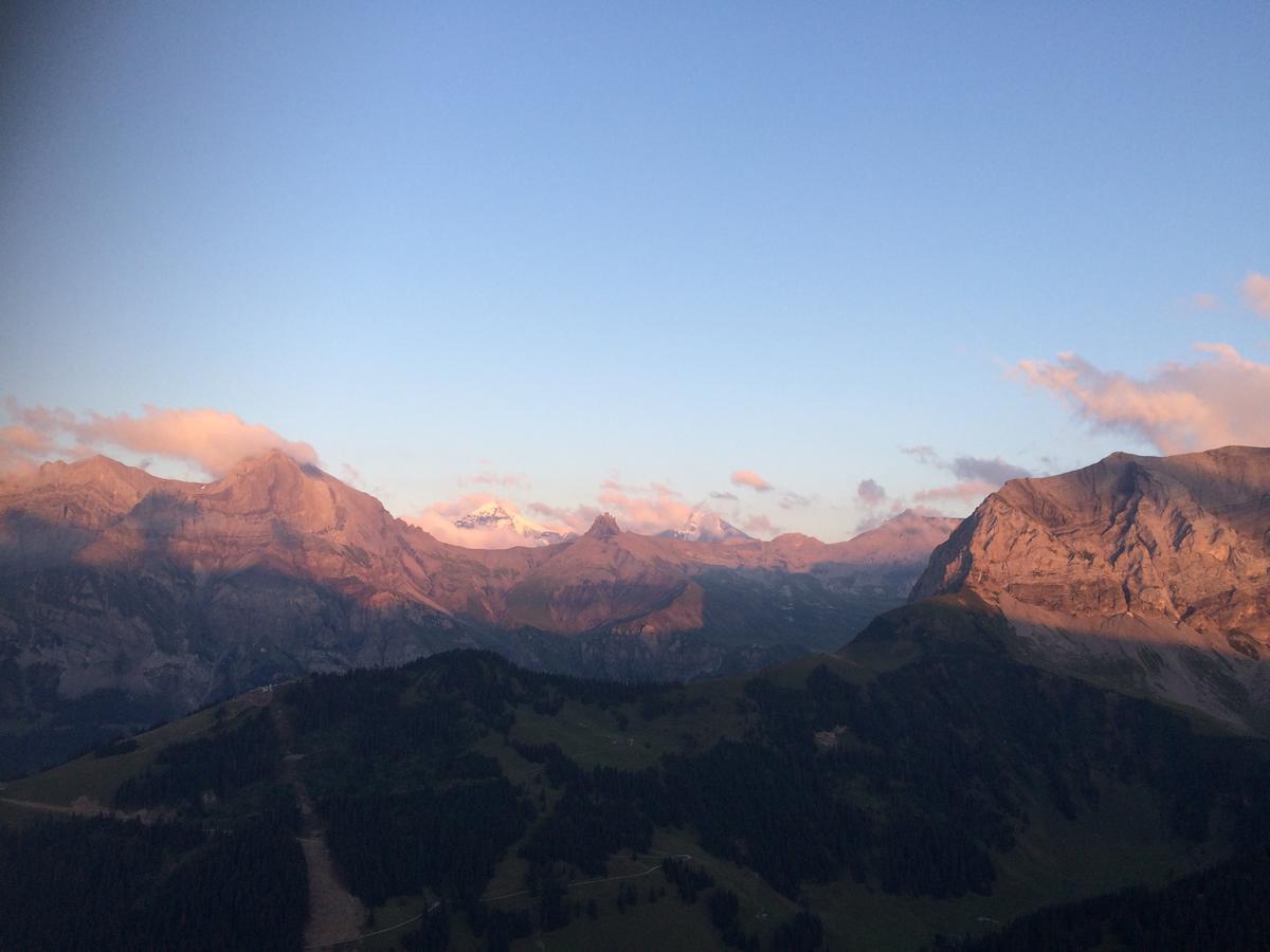 Bergdohle Leilighet Adelboden Eksteriør bilde