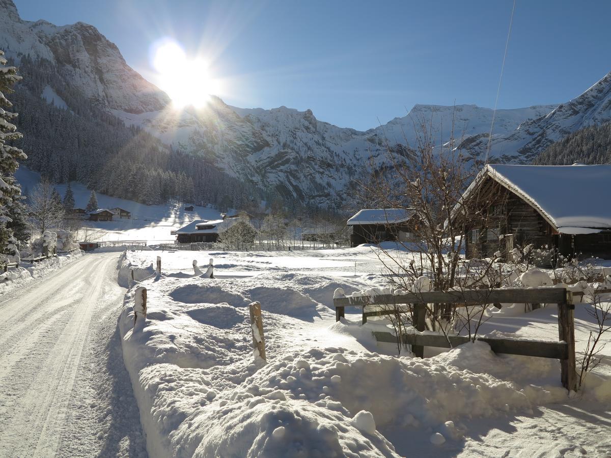 Bergdohle Leilighet Adelboden Eksteriør bilde