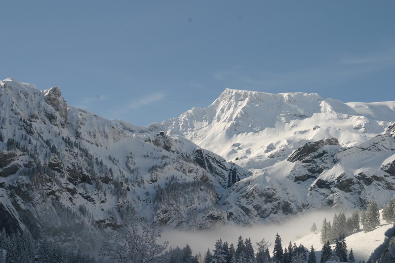 Bergdohle Leilighet Adelboden Eksteriør bilde
