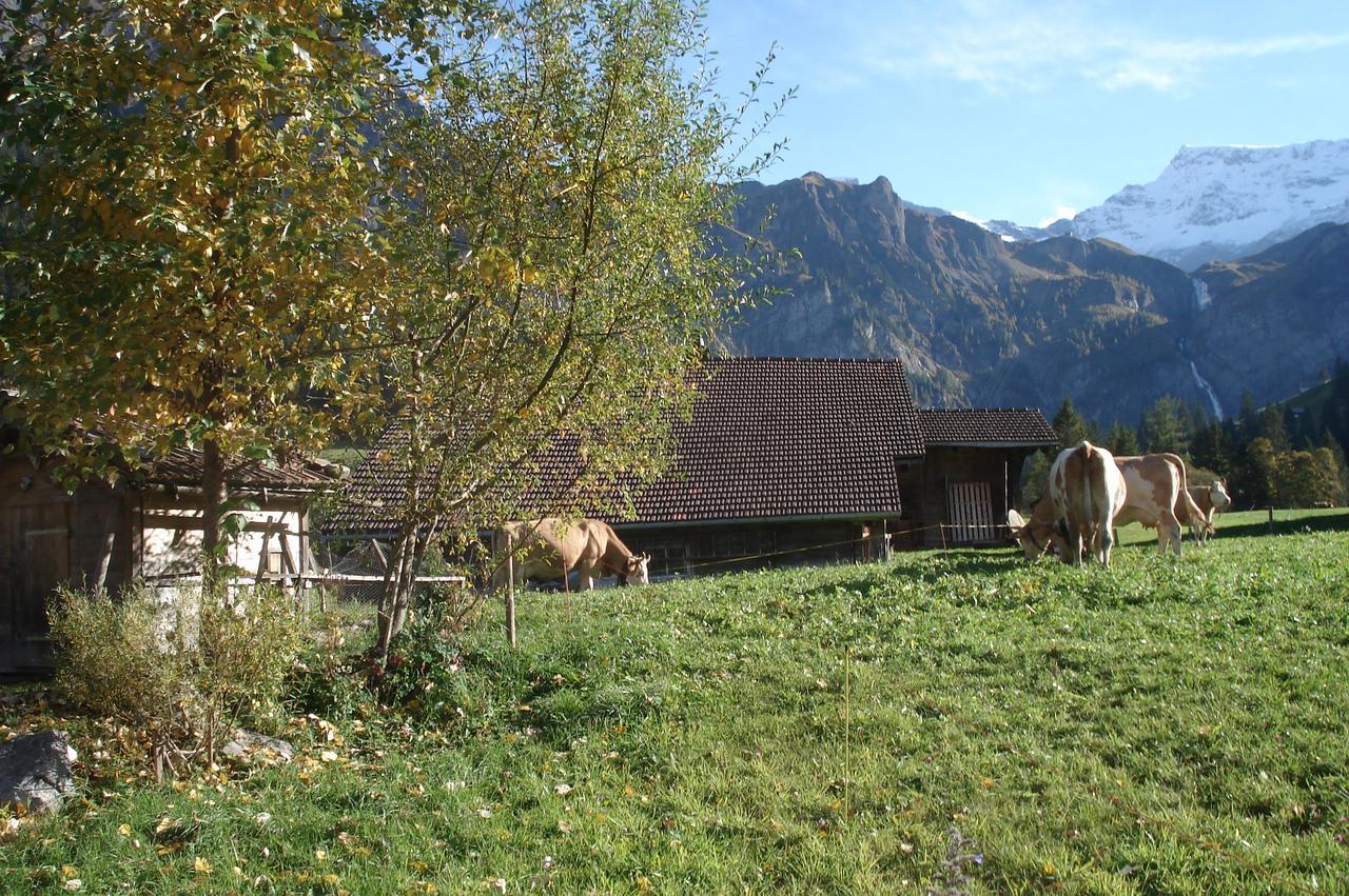 Bergdohle Leilighet Adelboden Eksteriør bilde