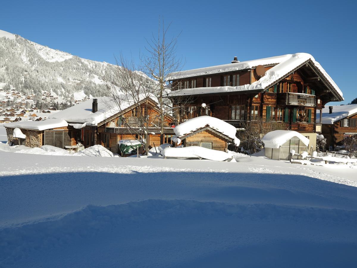 Bergdohle Leilighet Adelboden Eksteriør bilde