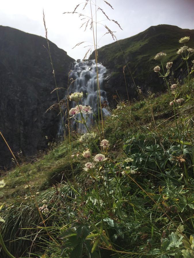 Bergdohle Leilighet Adelboden Eksteriør bilde