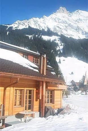 Bergdohle Leilighet Adelboden Eksteriør bilde